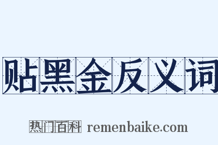 贴黑金反义词是什么意思的图片